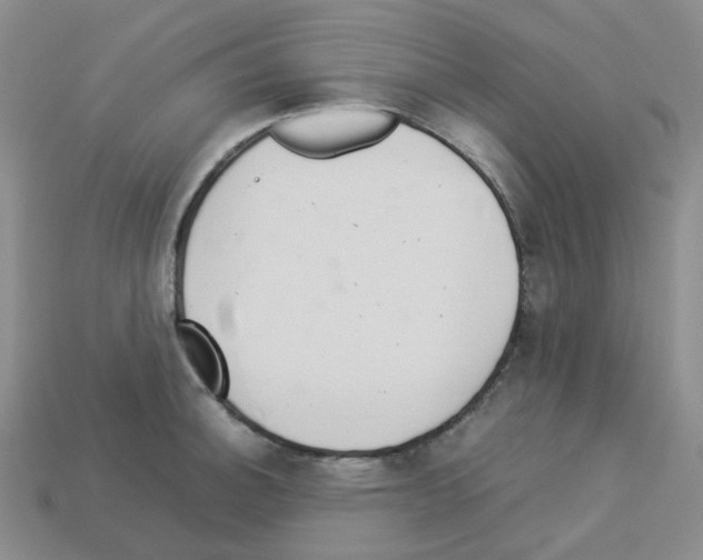 X0000112831140200910021217