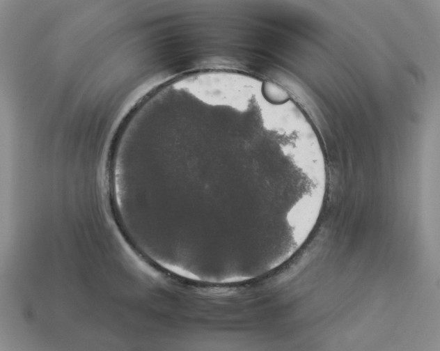 X0000112831141200910021217