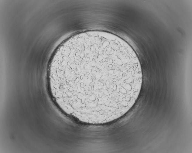 X0000112831142200910021217