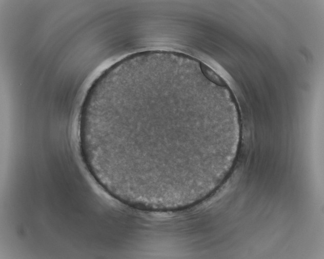 X0000112831144200910021217