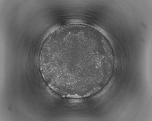 X0000112831145200910021217