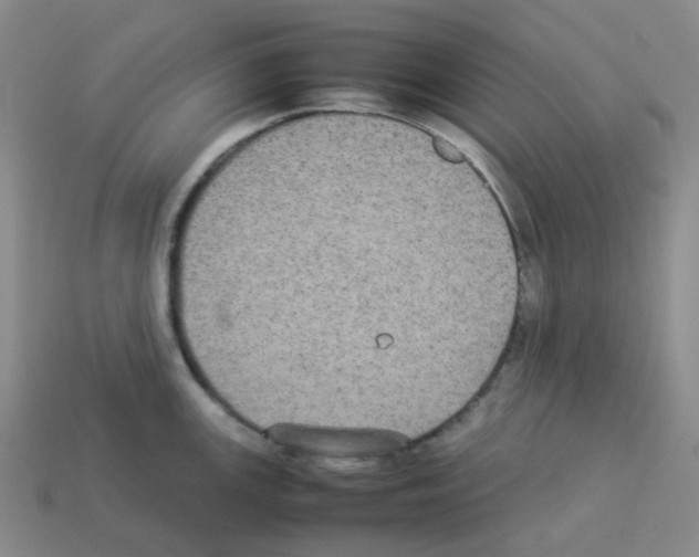 X0000112831147200910021217