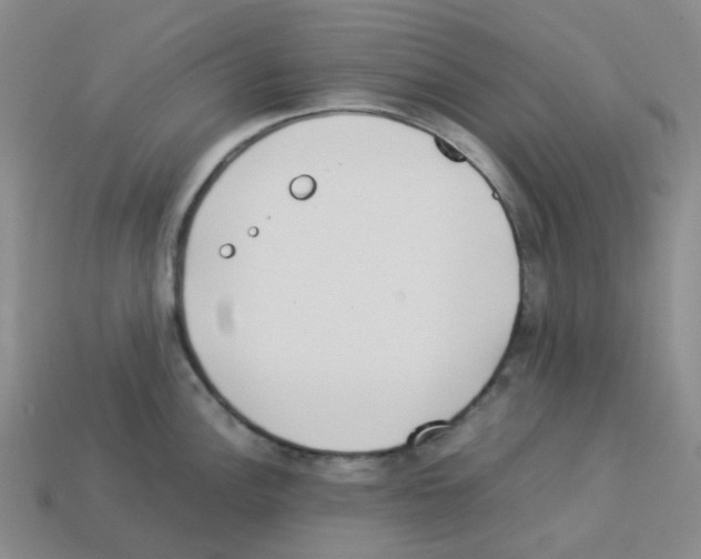 X0000112831148200910021217