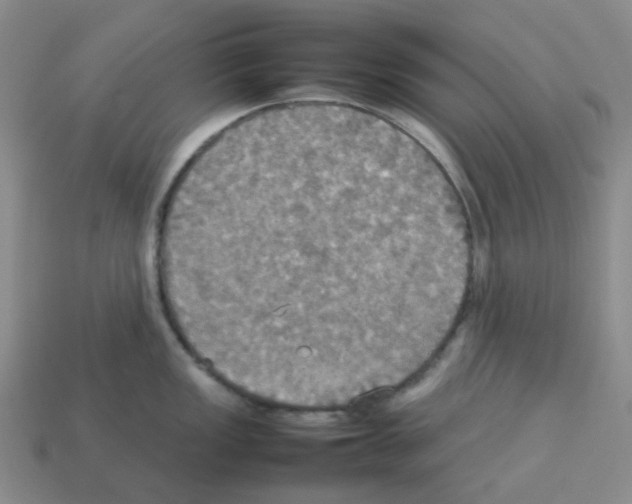 X0000112831149200910021217