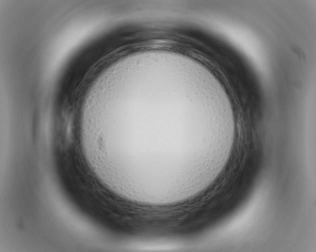 X0000112831150200910021217