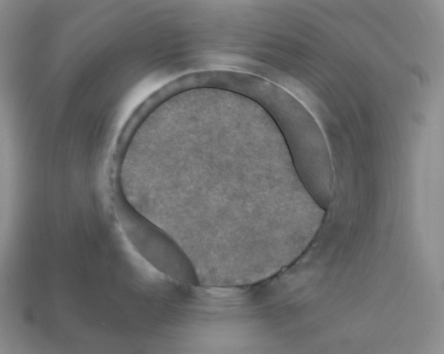 X0000112831152200910021217