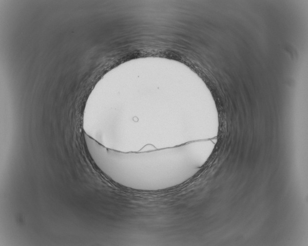 X0000112831153200910021217