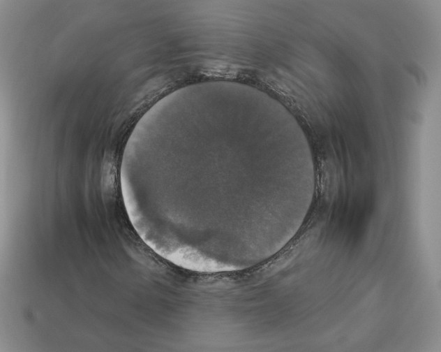 X0000112831154200910021217