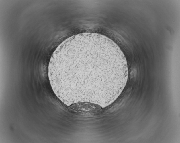 X0000112831156200910021217