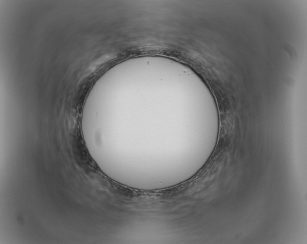 X0000112831157200910021217