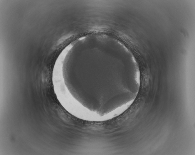 X0000112831158200910021217