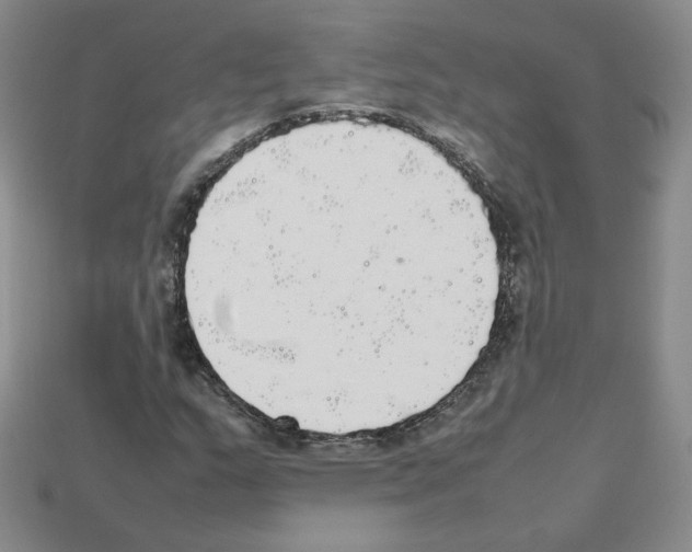 X0000112831159200910021217