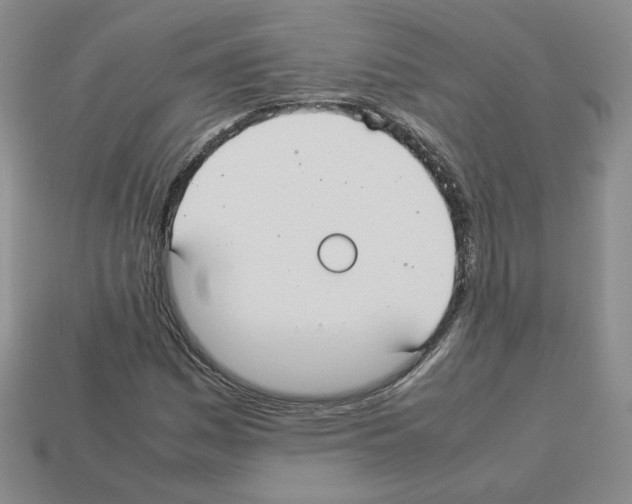 X0000112831161200910021217