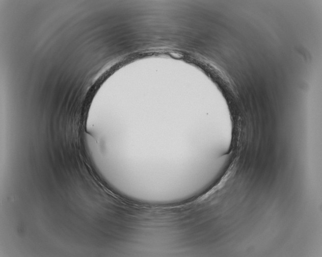 X0000112831162200910021217