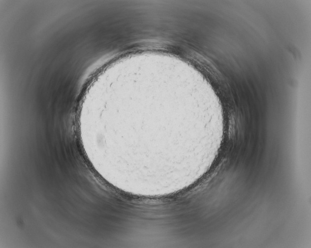 X0000112831164200910021217