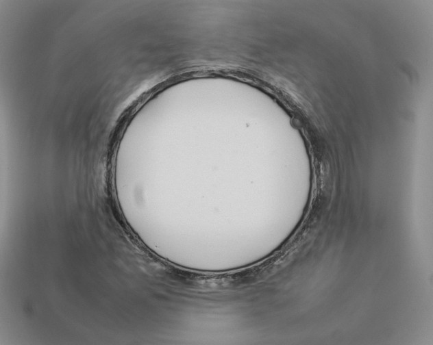 X0000112831165200910021217