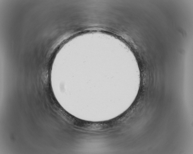 X0000112831167200910021217