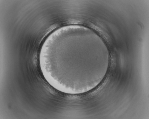 X0000112831170200910021216