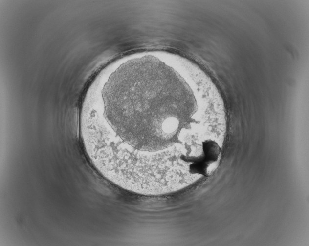 X0000112831171200910021216