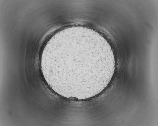 X0000112831172200910021216