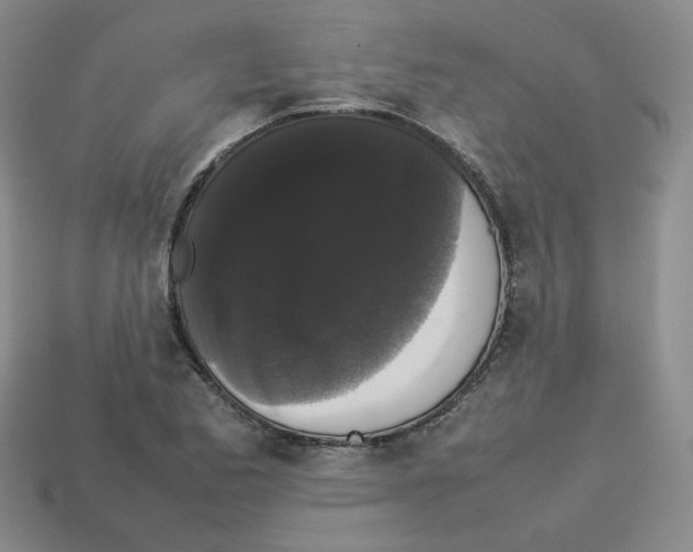 X0000112831173200910021216