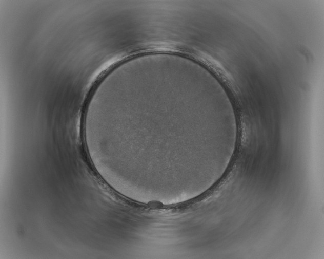 X0000112831174200910021216