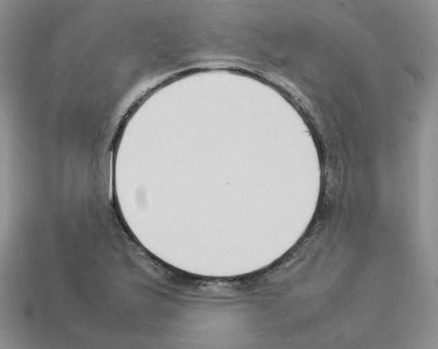 X0000112831175200910021216