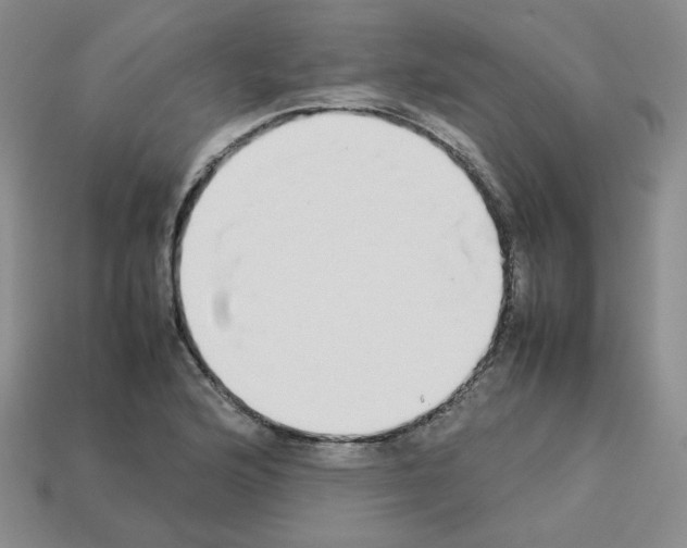 X0000112831176200910021216