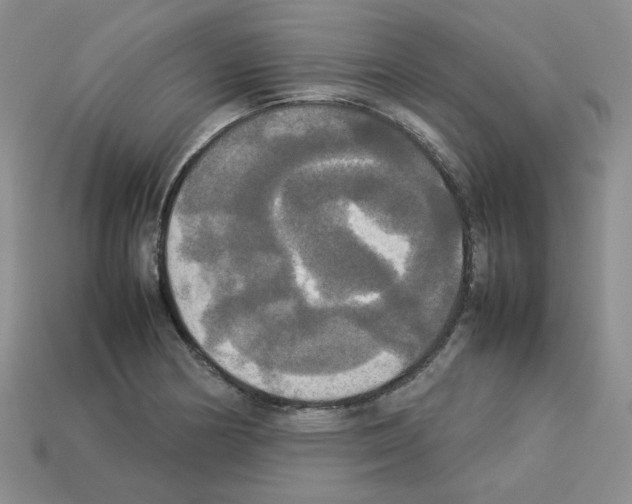 X0000112831178200910021216