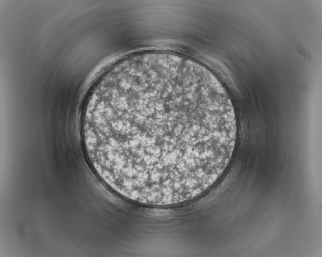 X0000112831180200910021216