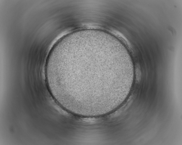 X0000112831182200910021216