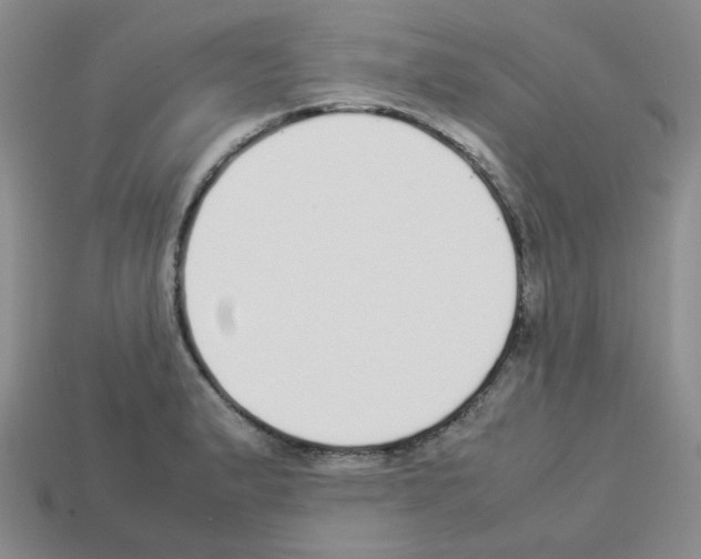 X0000112831183200910021216