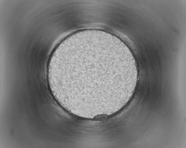 X0000112831184200910021216