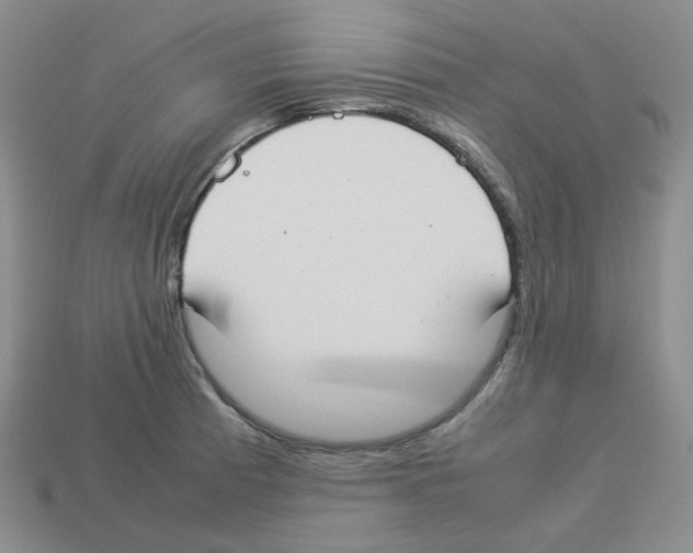 X0000112831185200910021216