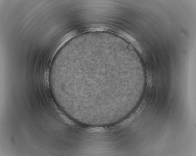 X0000112831186200910021216