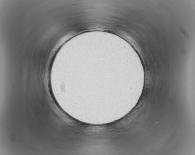 X0000112831187200910021216