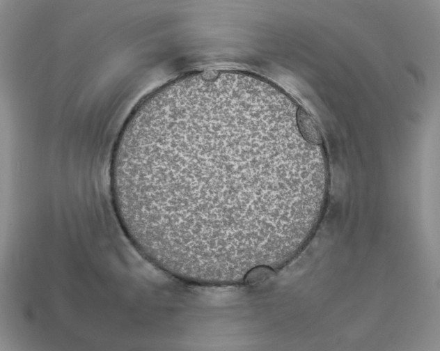 X0000112831189200910021216