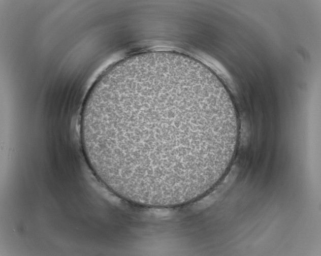 X0000112831190200910021216