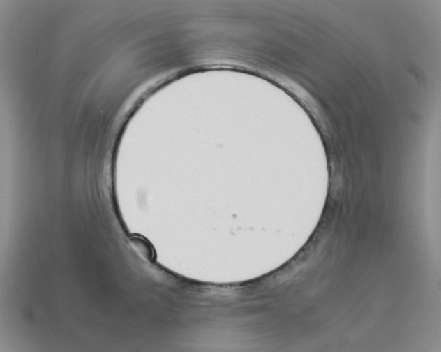 X0000112831191200910021216