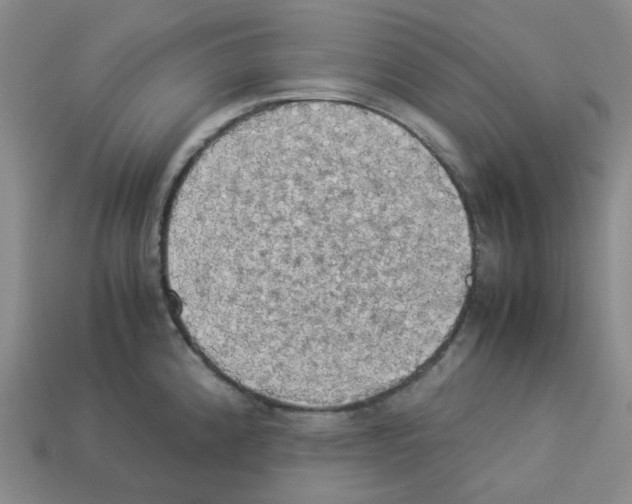 X0000112831192200910021216