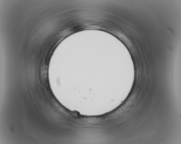 X0000112831193200910021216