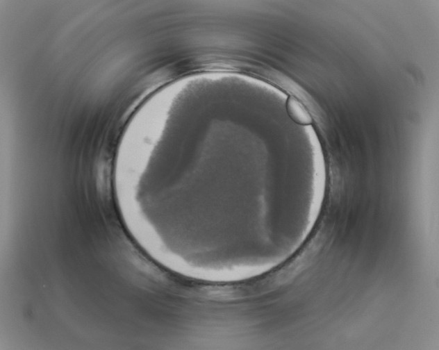 X0000112831194200910021216