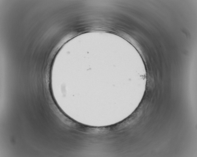 X0000112831195200910021216