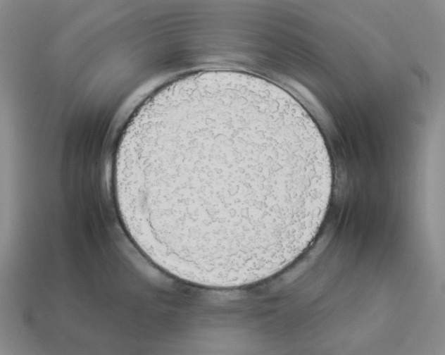 X0000112831196200910021216