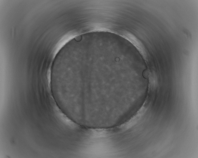 X0000112831198200910021216