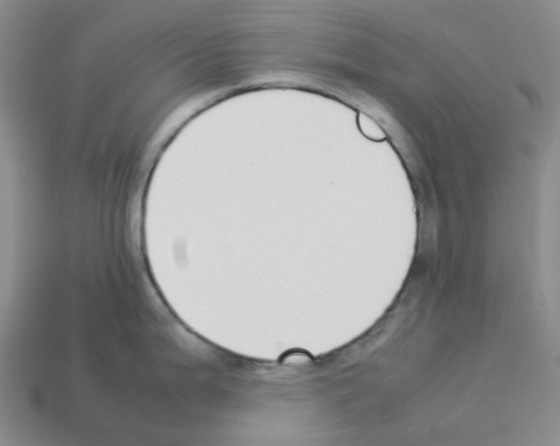 X0000112831199200910021216