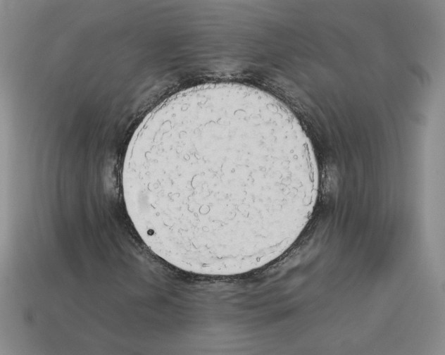 X0000112831202200910021215