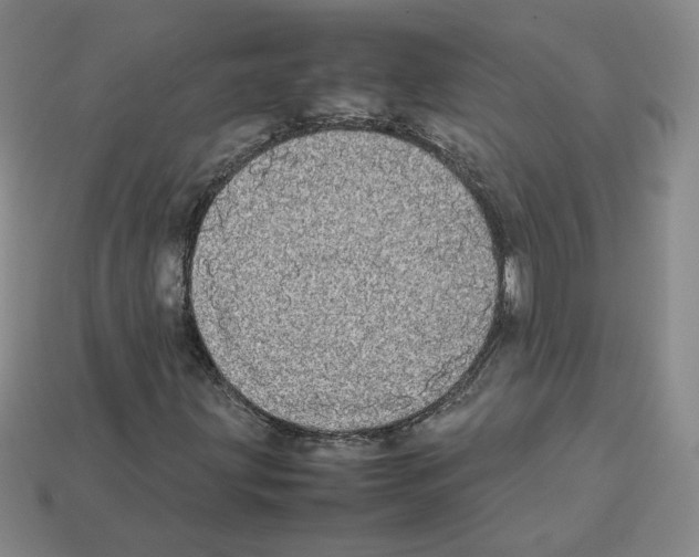 X0000112831203200910021215