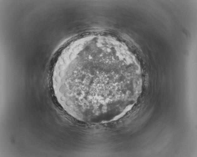 X0000112831208200910021215