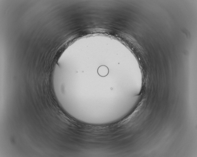 X0000112831209200910021215